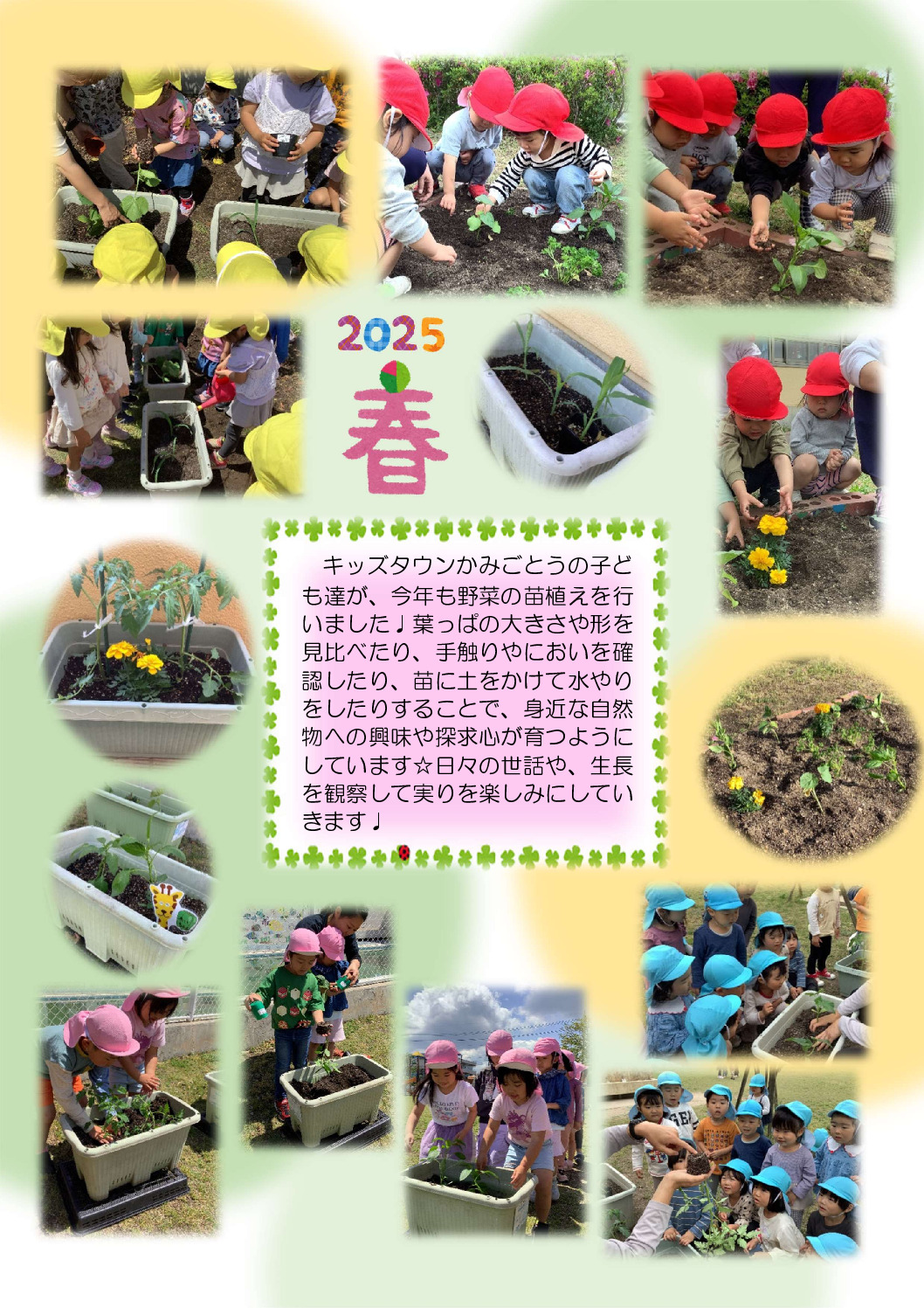 野菜の苗植えのサムネイル