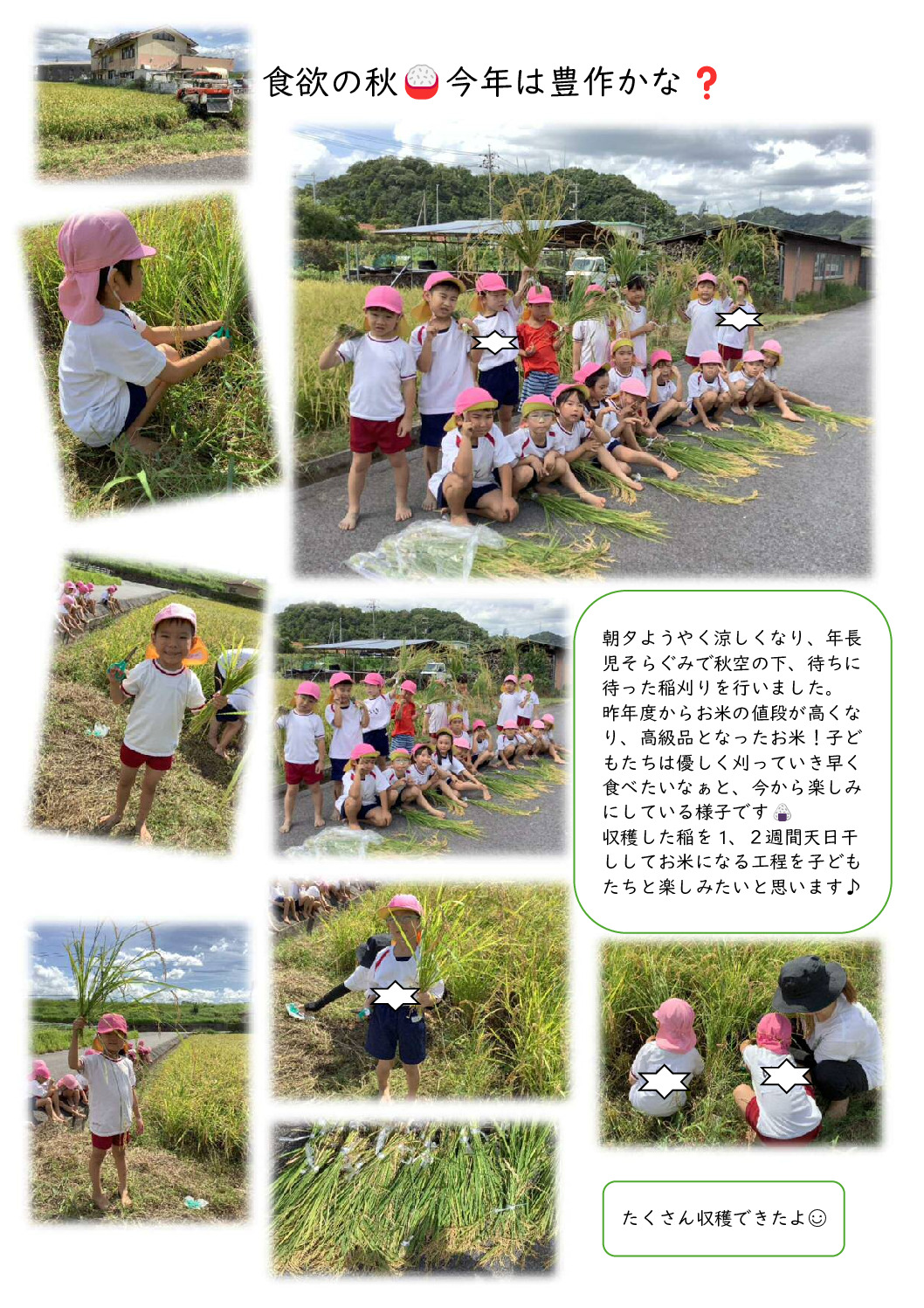 食欲の秋12今年は豊作かなのサムネイル